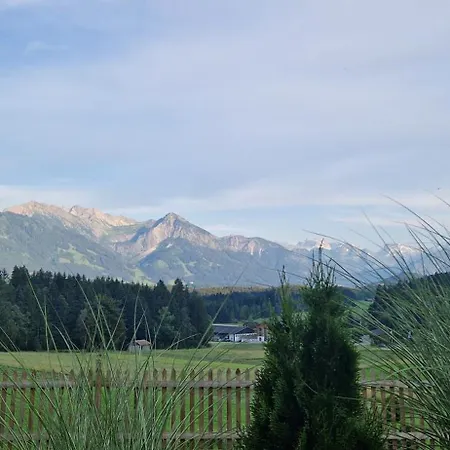 Platzhirsch Hotel *